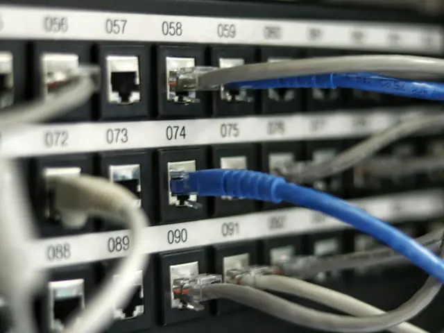 Patch panel de red con cables UTP azules y grises conectados